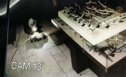 "Si el C5 se hubiera puesto las pilas" habrían rastreado al ladrón del Museo del Juguete, asegura director del recinto