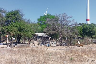 Padece istmo la peor sequía en casi 50 años