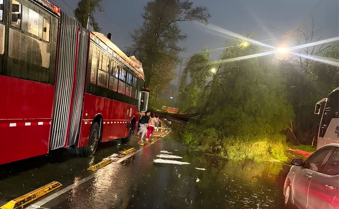 El Metrobús informó que las líneas 1 y 7 presentan afectaciones por las lluvias. | Foto: Especial.