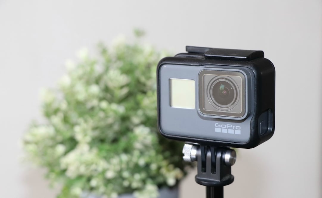 El software es compatible con Windows y macOS. Imagen Pixabay