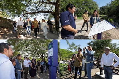 Mérida construye el primer Bio-Corredor Verde; buscan reducir el calor, mitigar inundaciones y proteger la biodiversidad