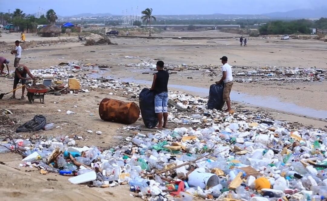 Limpieza de zona de playa en BCS. (FOTO: Especial)