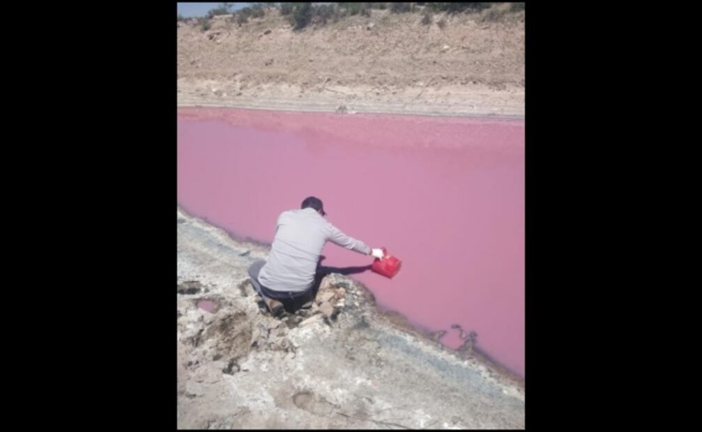 Laguna se pinta de rosa en Zacatecas; Conagua investiga causas