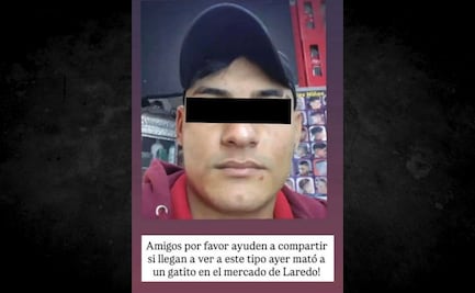 Buscan a "El Cuba" por matar a patadas a un gato en un mercado de Ecatepec; autoridades de los tres niveles refuerzan operativo