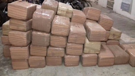 Decomisan en Coahuila casi tonelada y media de marihuana 