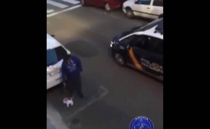 Saca a pasear un perro de peluche para eludir el confinamiento en España