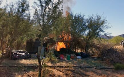 Militares destruyen plantío y campamento improvisado para secar marihuana en Pitiquito, Sonora