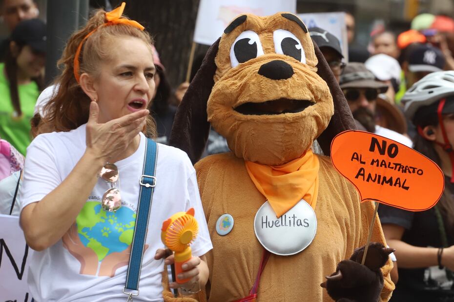 Marcha ciudadana por los Derechos de los animales, Foto: Berenice Fregoso / EL UNIVERSAL