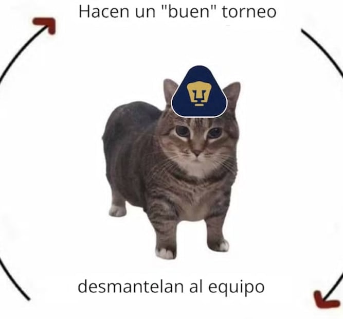 Foto: Vía X.