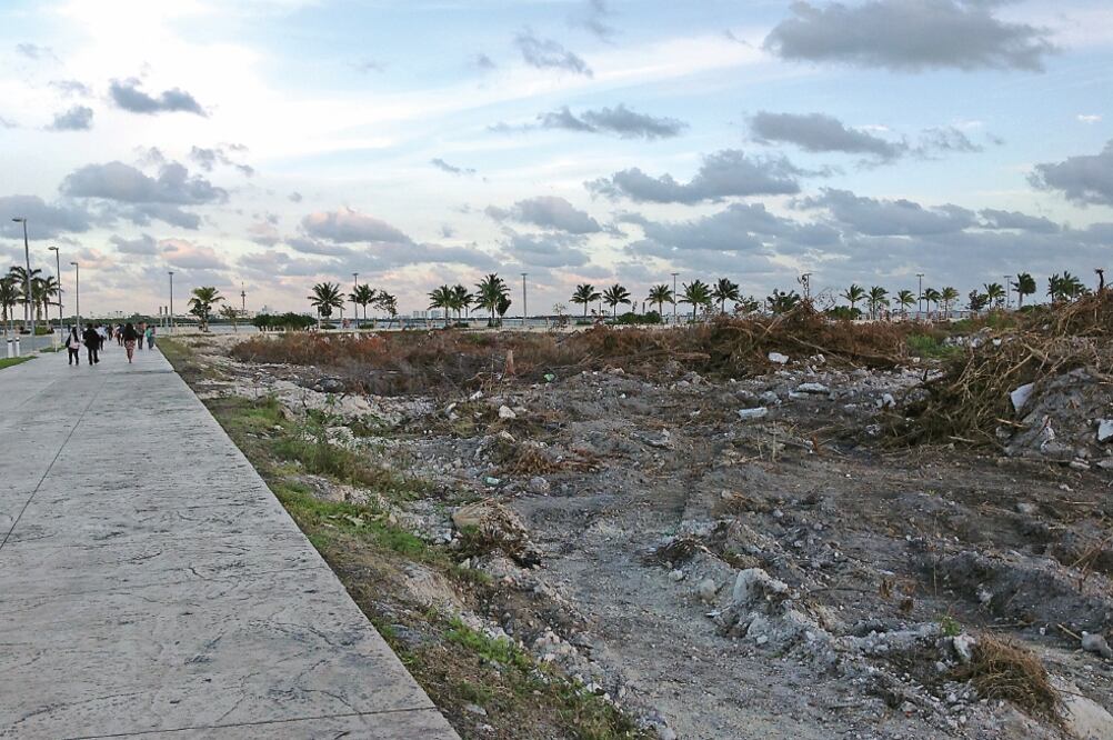 Según los archivos, los análisis para los permisos del proyecto en el manglar iniciaron desde el sexenio de Carlos Salinas de Gortari (1988-1994) (ADRIANA VARILLAS. EL UNIVERSAL) 