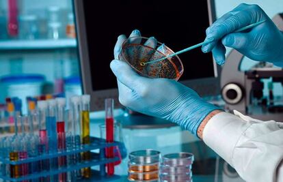 Descubren células "soldado" que mejoran la respuesta a las terapias contra el cáncer