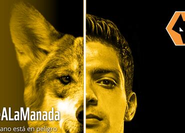 Raúl Jiménez y WWF lideran campaña para salvar al lobo mexicano