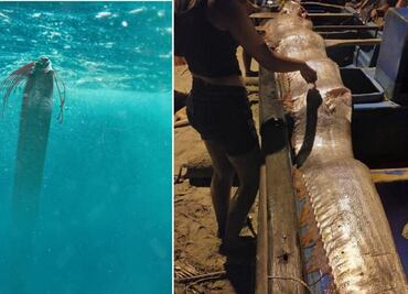 ¿Qué significa la aparición del pez remo y por qué se le relaciona con el fin del mundo?