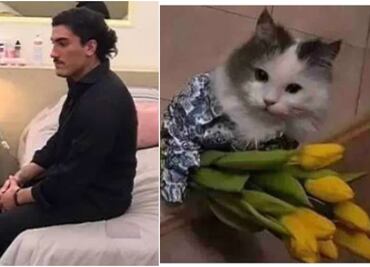 ¿No recibiste flores amarillas? Ellos tampoco y compartieron los mejores memes