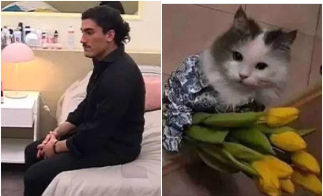 Meme flores amarillas. Foto: Redes Sociales