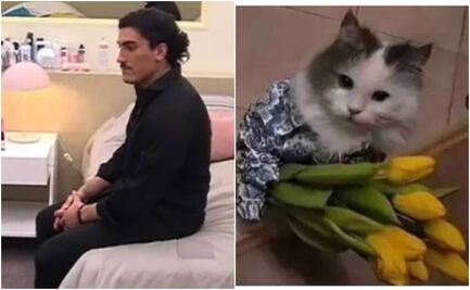 ¿No recibiste flores amarillas? Ellos tampoco y compartieron los mejores memes
