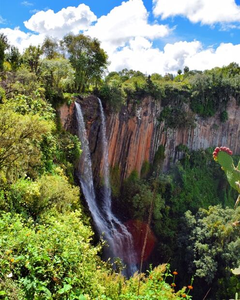 4 bosques mexicanos para viajar en primavera