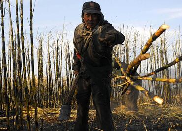 Publican licitación para venta de cinco ingenios azucareros