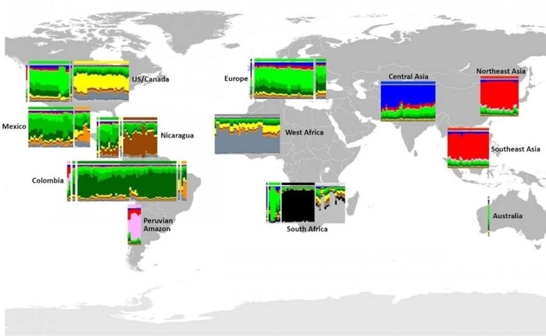 Este estudio aporta nuevos datos sobre la relación entre la migración humana y la diversidad bacteriana. FOTO: Europa Press.