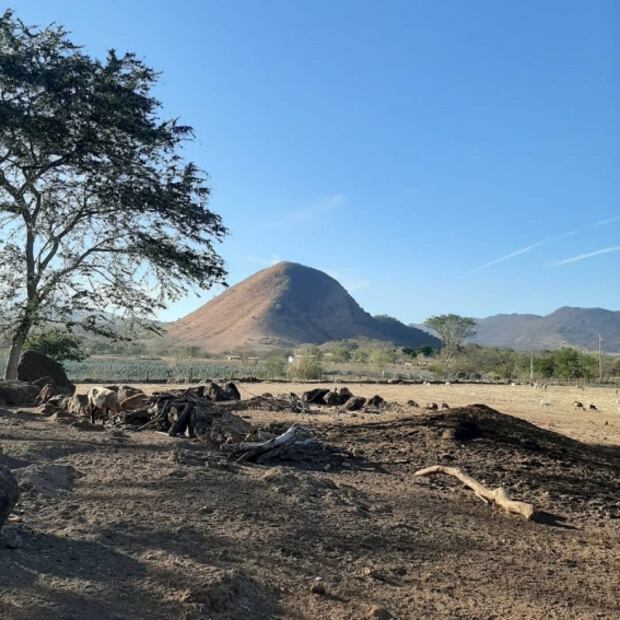 Buckingham sí está en México, conoce este peculiar destino