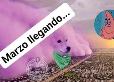 Los mejores memes para recibir marzo 2025; usuarios celebran llegada de primavera