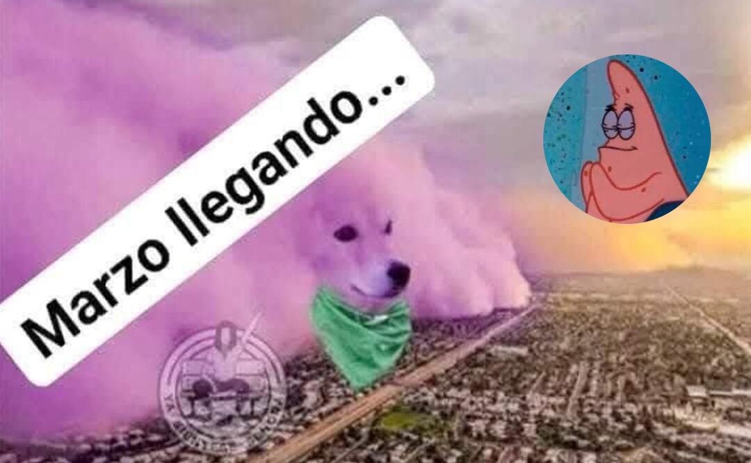 Usuarios en redes sociales celebraron la llegada de un nuevo mes. Fotos: 'X'