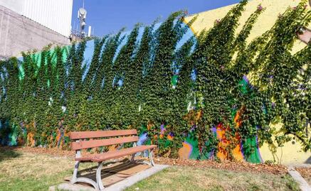 Suma Sedema 790 metros lineales de vegetación con bardas vivas 