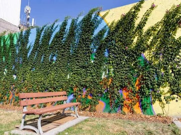 Suma Sedema 790 metros lineales de vegetación con bardas vivas