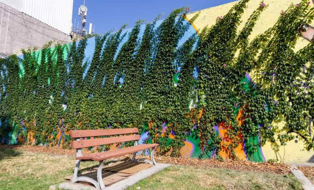 Las barda vivas también proveen alimento y refugio a especies polinizadoras y embellecen el entorno, por lo que algunas fueron creadas en parajes de Áreas Naturales Protegidas durante este 2024. Foto: Especial/El Universal