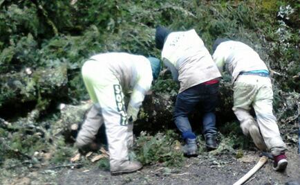 Vientos provocan daños en Palacio de Gobierno de Hidalgo