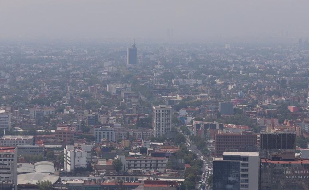 Fotografía: Berenice Fregoso/ EL UNIVERSAL