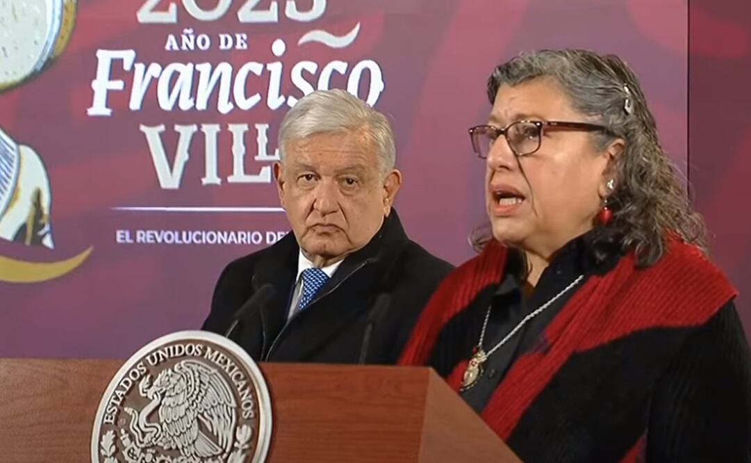 Teresa Guadalupe Reyes Sahagún, titular de la Comisión Nacional de Búsqueda. Foto: Captura