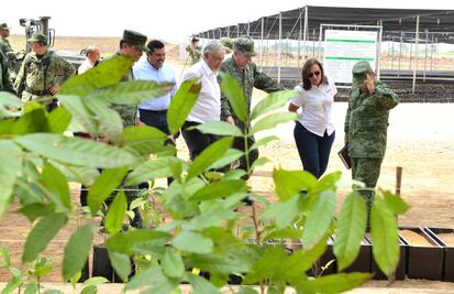 Exhorta oposición en el Congreso a auditar Sembrando Vida ante irregularidades