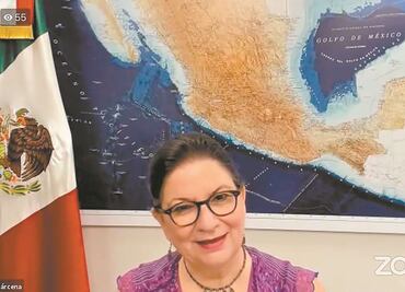 No hay condiciones para la reforma migratoria en EU, dice embajadora