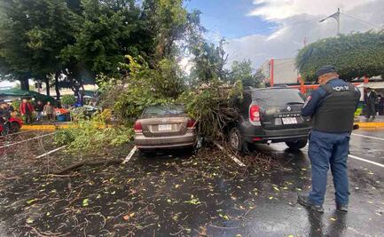 Intensa lluvia provoca caída de un árbol sobre un vehículo a unos pasos del Metro Nativitas 