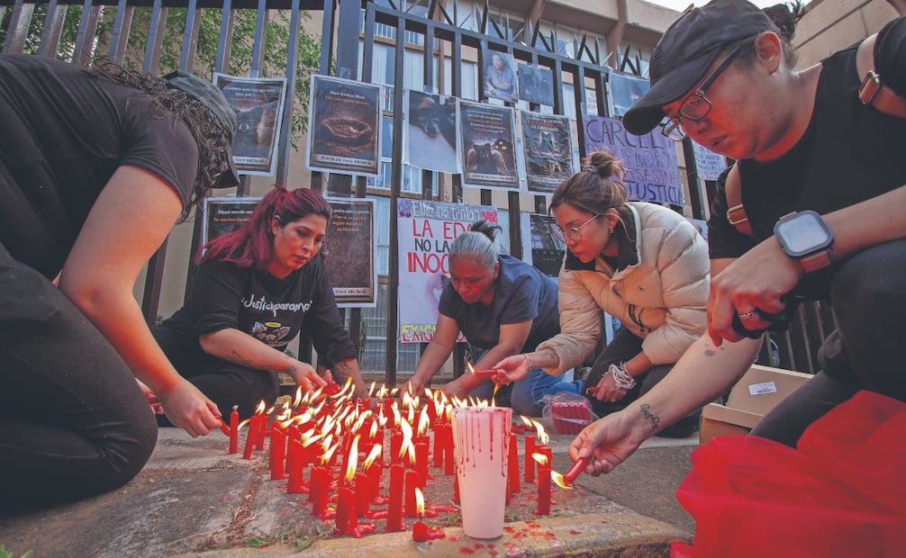 
Los activistas buscan que no se repita la historia de Moni, una perrita chihuahua asesinada sin consecuencias, ya que Flor es adulta mayor. Foto: Santiago Reyes