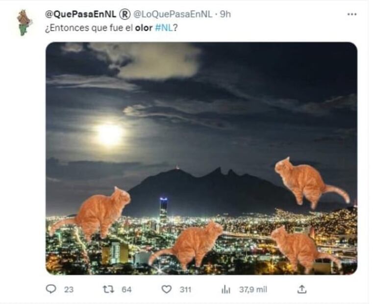 Mal olor en Nuevo León desata memes contra gatos, pero ¿qué lo provocó?