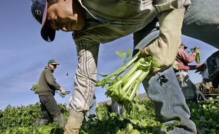 Chef Enrique Olvera launches a crowdfunding campaign to help Mexican migrants in the U.S.