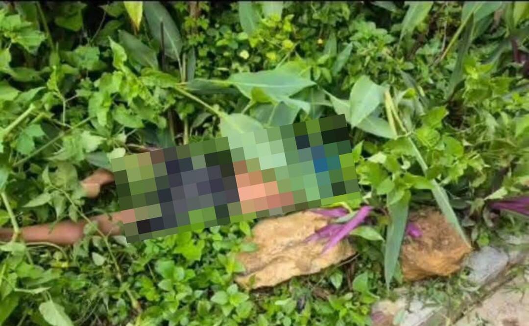 Elia "N", vendedora de tortillas, fue localizada sin vida en un terreno baldío de Chiapas (25/06/2025). Foto: Especial