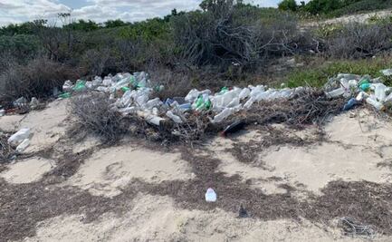 Contaminación de resíduos tóxicos alcanza a puertos del litoral yucateco