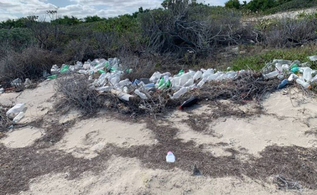 Contaminación de las playas del litoral yucateco, incluyendo Las Coloradas, en donde estan las charcas salineras. Foto:Especial
