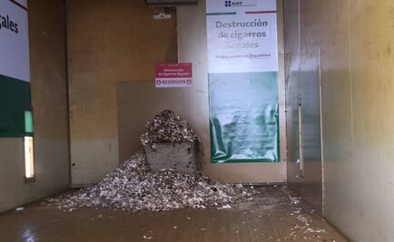 Destruyen 33 millones de cigarros en frontera México-Belice