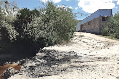 Turba lincha a presunto ladrón