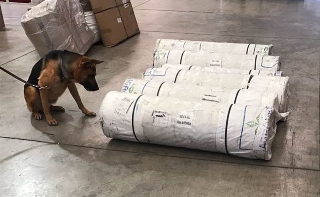 El aseguramiento de droga se realizó en una empresa de paquetería ubicada en la colonia Parque Industrial Misiones, Tijuana. /Especial