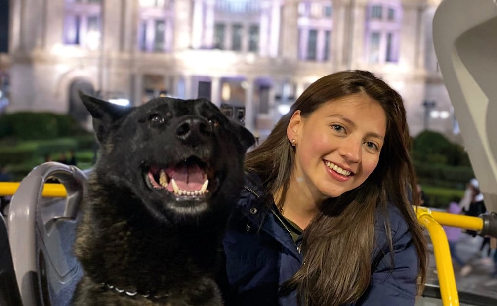 Patitas de Perro Night Tour. Foto: Capital Bus