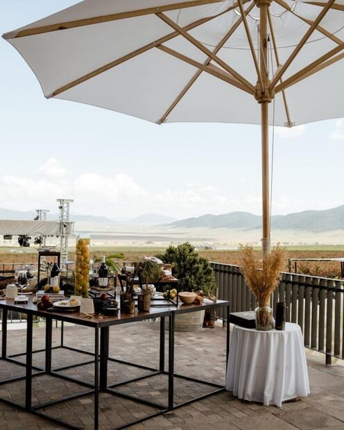 Explora la ruta de vinos en Coahuila 