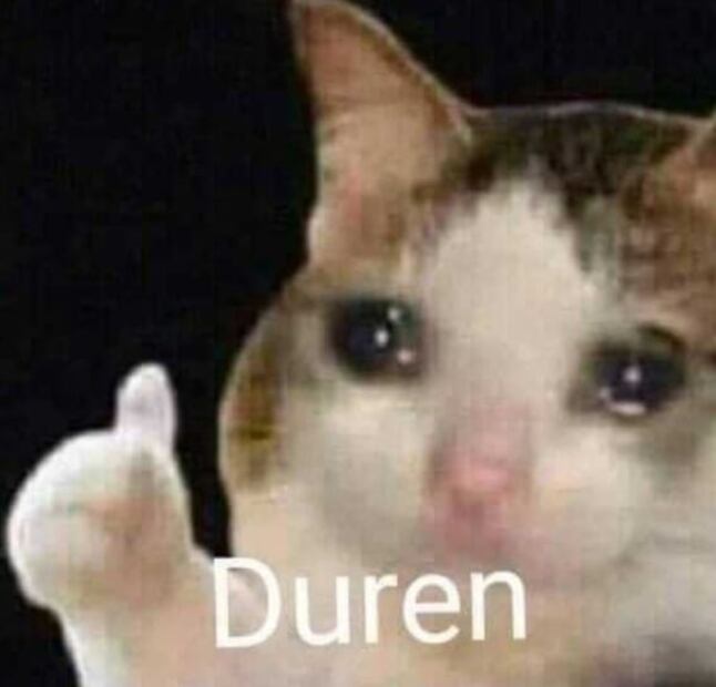 Vamos a celebrar el día del gato con los mejores 5 memes