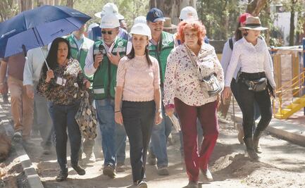 Retirarán patos, gansos y tortugas de Canal Nacional