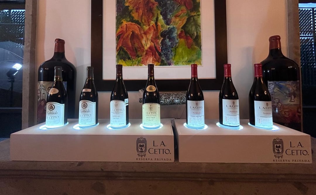 Cata vertical del Nebbiolo de L.A. Cetto. Fotos: Alan Nájera / El Universal