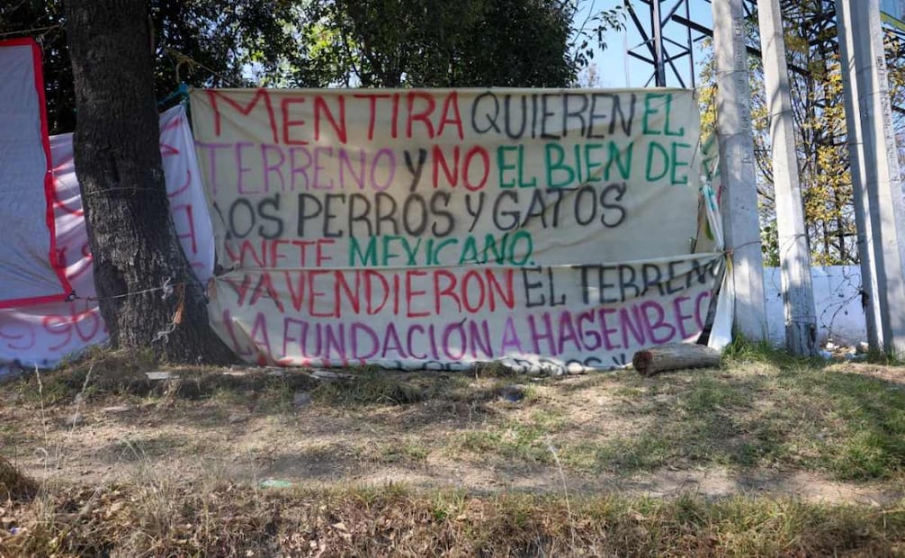 Autoridades llegan a las instalaciones del Refugio Franciscano tras manifestaciones de Grupos animalistas por el desalojo de perros y gatos en el predio de la Fundación Antonio Haghenbeck.
Foto: Luis Camacho/El Universal